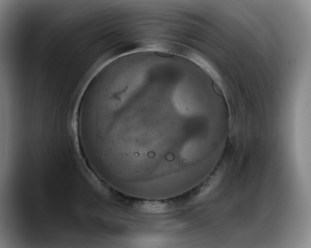 X0000089340907200706151041