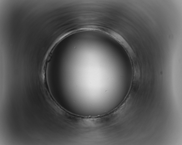 X0000089340908200706151041