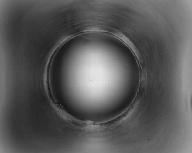 X0000089340909200706151041