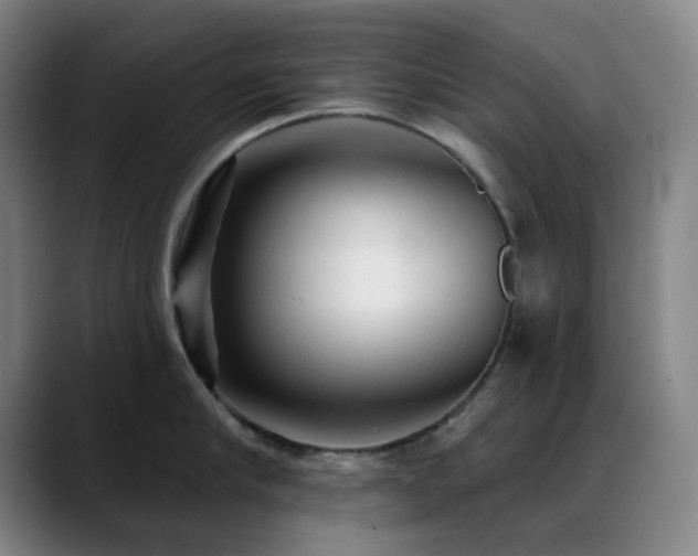 X0000089340910200706151041
