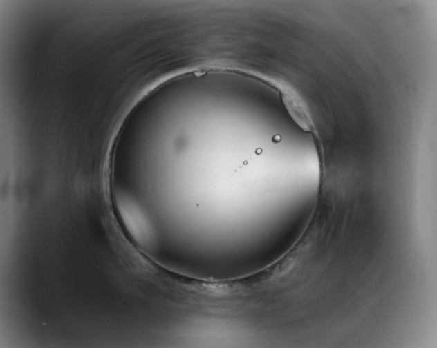 X0000089340911200706151041