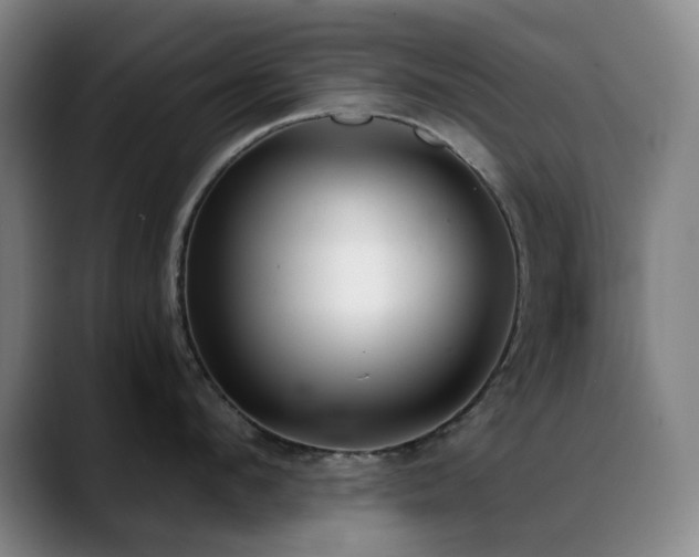 X0000089340912200706151041