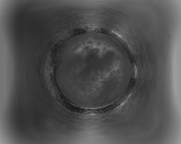 X0000089340913200706151040