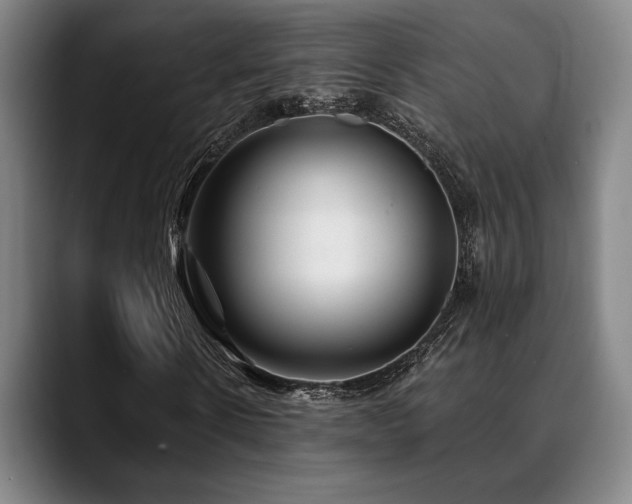 X0000089340914200706151040