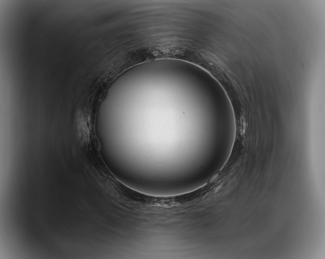 X0000089340915200706151040