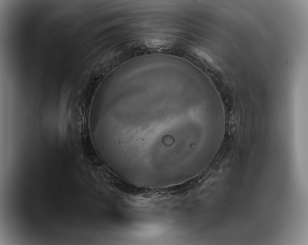 X0000089340917200706151040