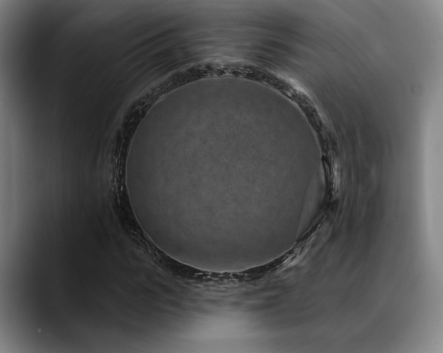 X0000089340919200706151040