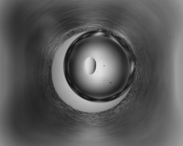 X0000089340920200706151040