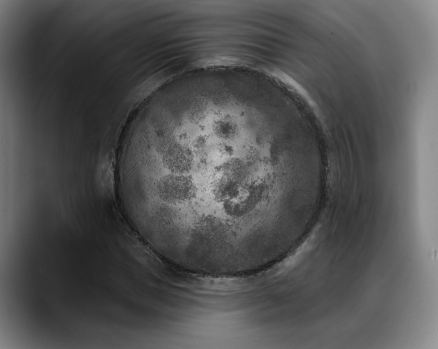X0000089340921200706151040