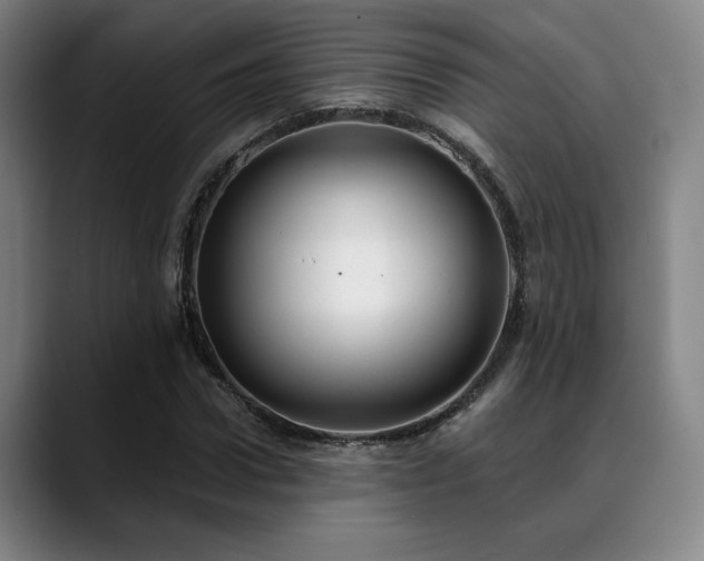 X0000089340922200706151040