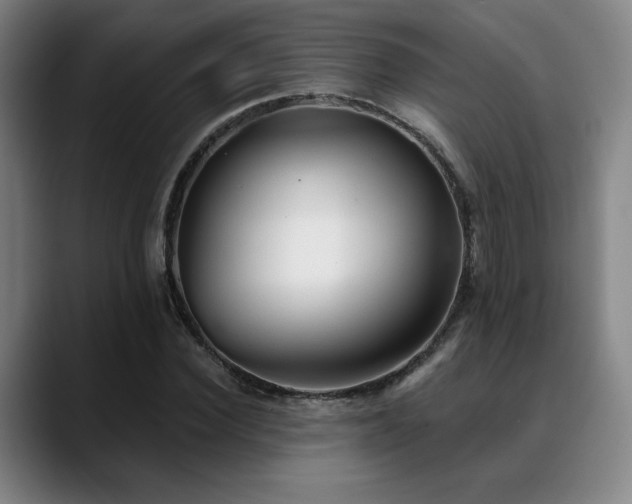 X0000089340924200706151040