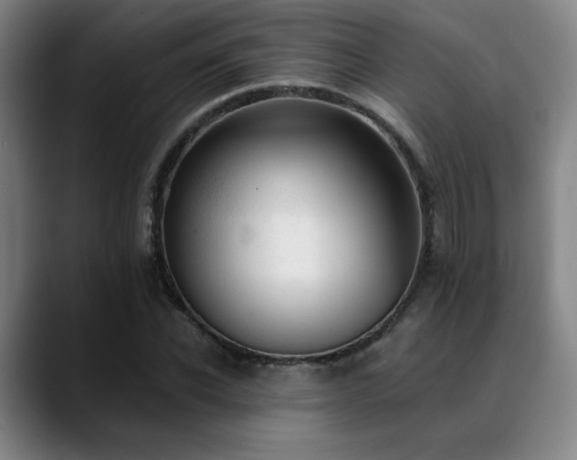 X0000089340926200706151040