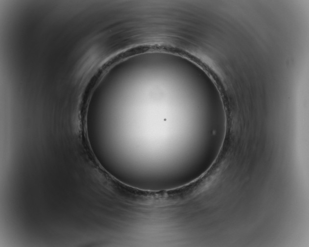X0000089340927200706151040