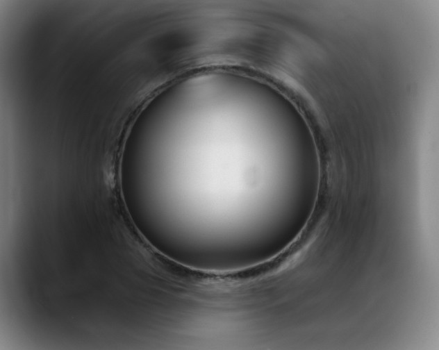 X0000089340929200706151040