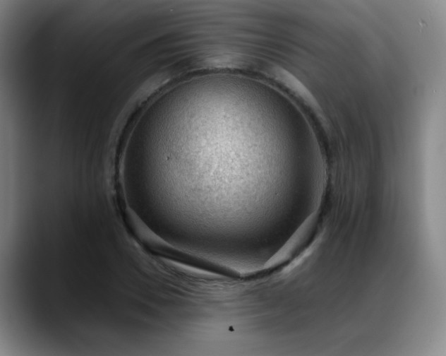X0000089340930200706151040