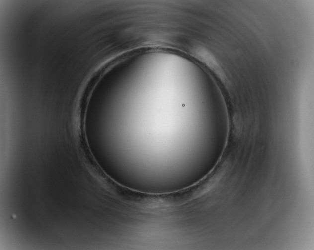 X0000089340931200706151040