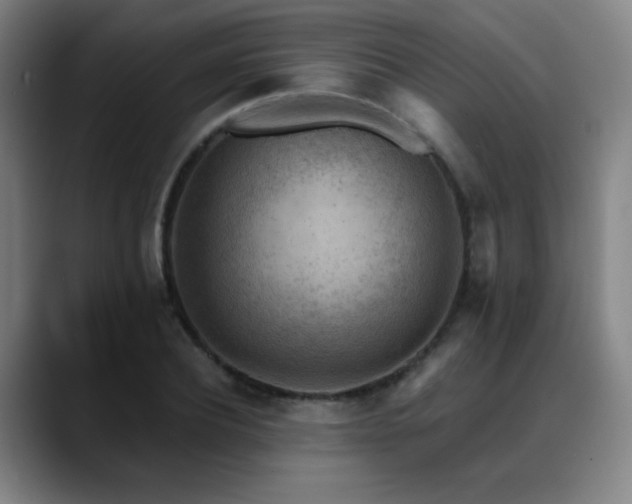 X0000089340932200706151040