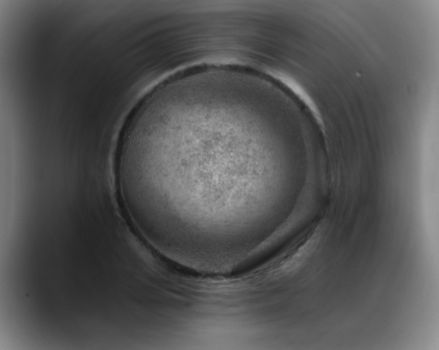 X0000089340935200706151041