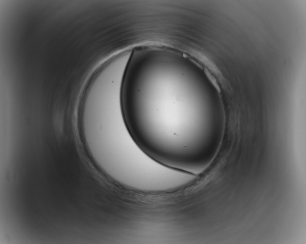 X0000089340936200706151041