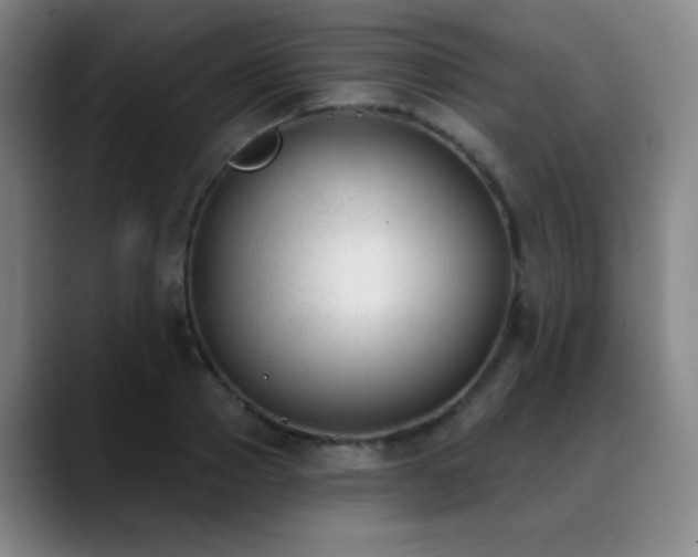 X0000089340937200706151041