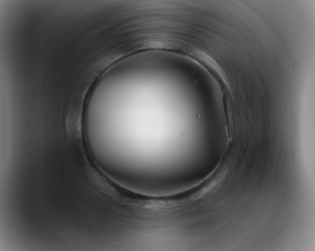 X0000089340938200706151041
