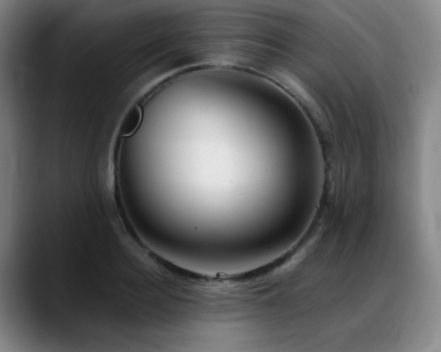X0000089340940200706151041