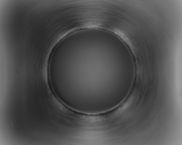 X0000089340941200706151041