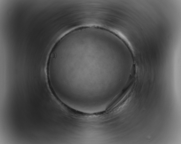 X0000089340943200706151041