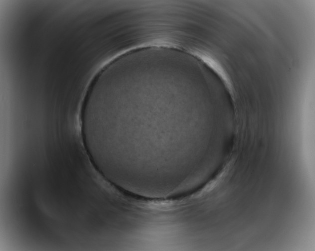 X0000089340944200706151041