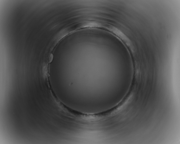 X0000089340945200706151041