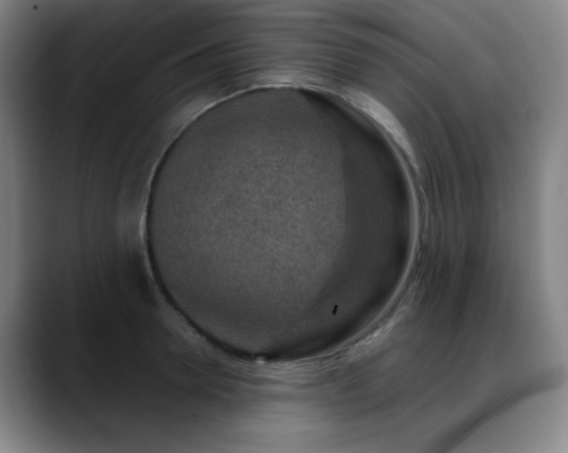 X0000089340946200706151041