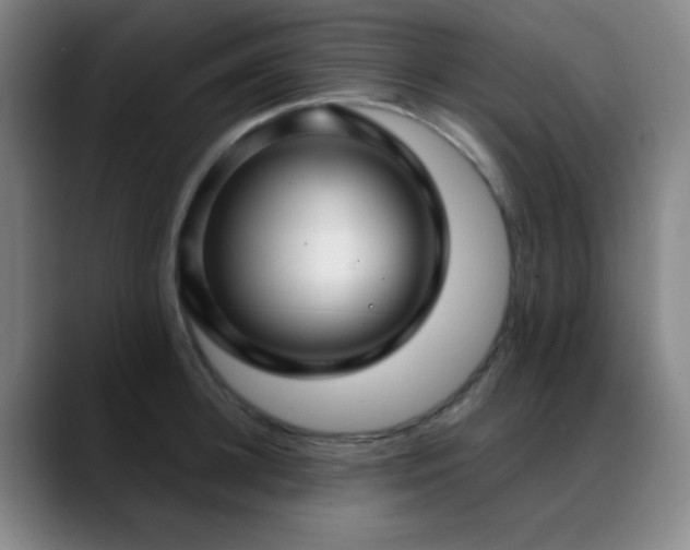 X0000089340948200706151041