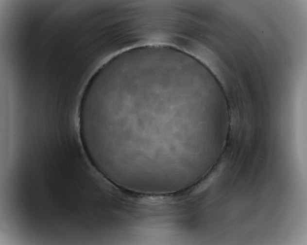 X0000089340950200706151041