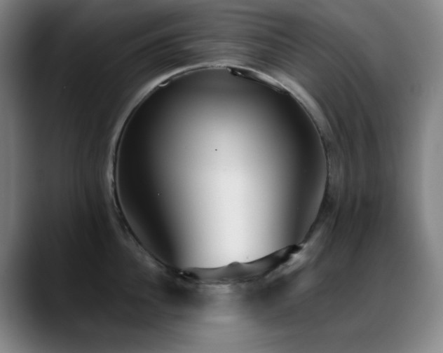 X0000089340956200706151041