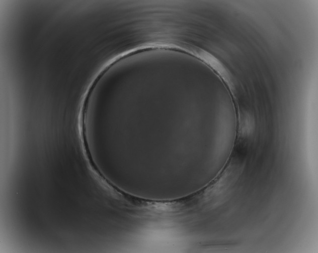 X0000089340958200706151041