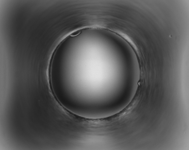 X0000089340959200706151041