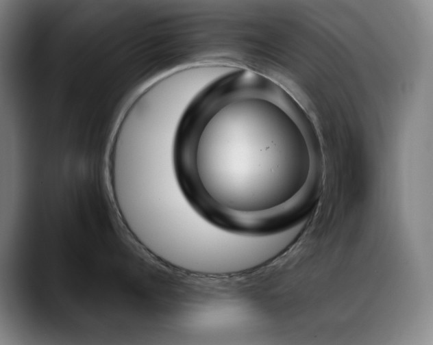 X0000089340960200706151041