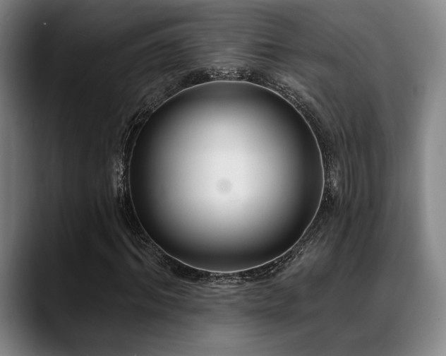 X0000089340964200706151040