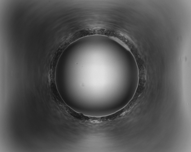 X0000089340965200706151040