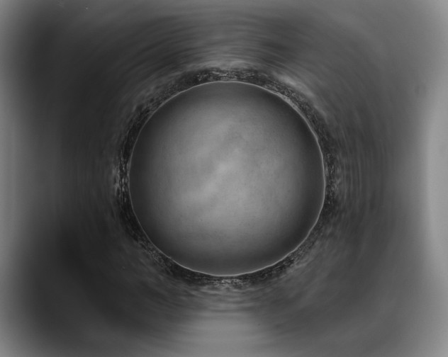 X0000089340966200706151040