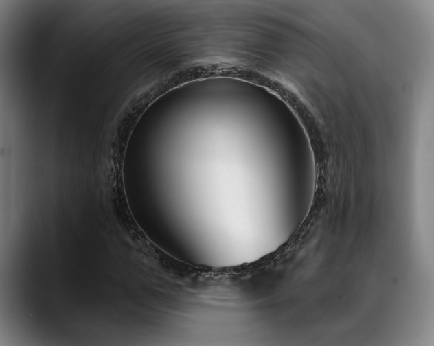 X0000089340967200706151040
