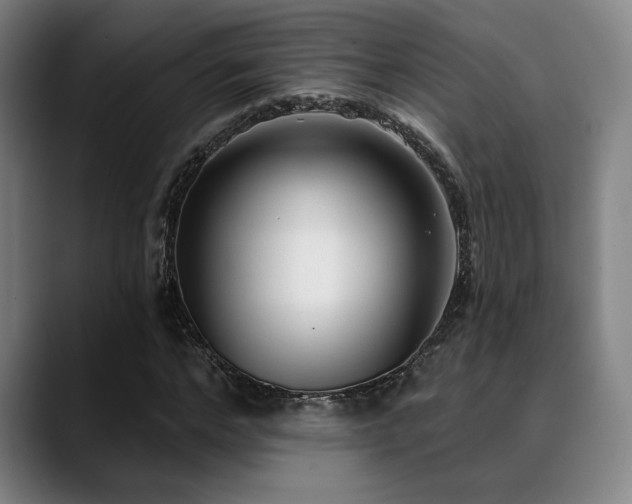 X0000089340968200706151040