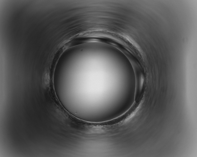 X0000089340969200706151040