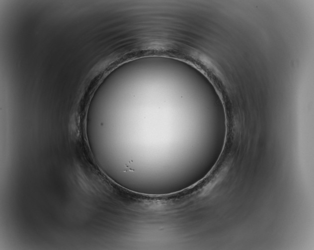 X0000089340970200706151040