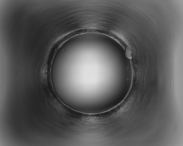 X0000089340971200706151040