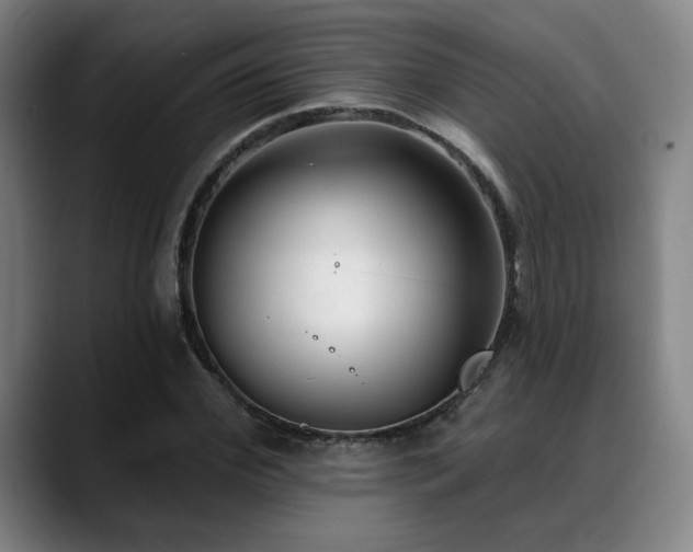 X0000089340972200706151040