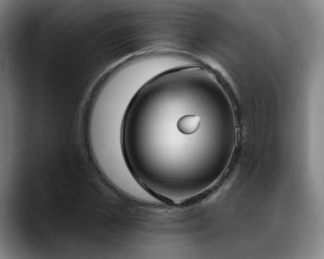 X0000089340973200706151040