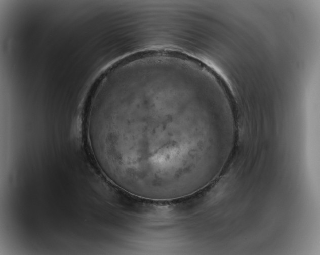 X0000089340975200706151040