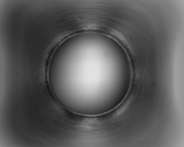 X0000089340978200706151040