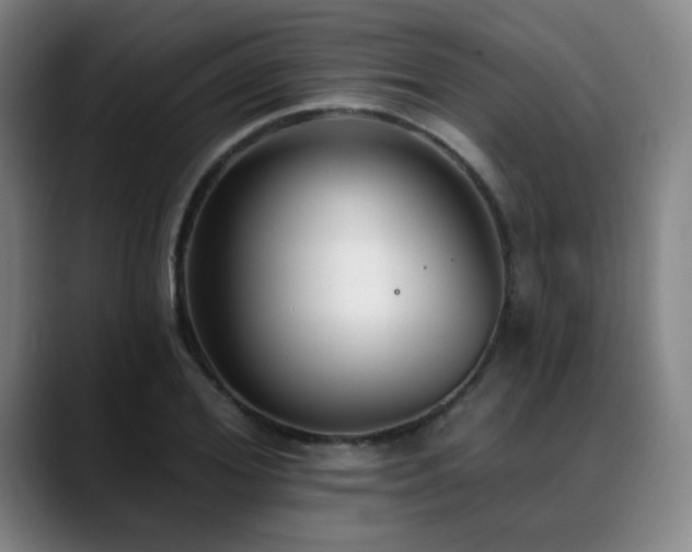 X0000089340980200706151040